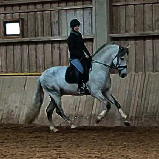 equestriella