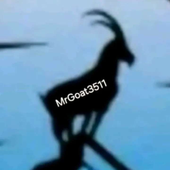 mrgoat3511