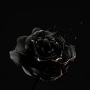 @jd3real