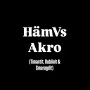 @akrohamvs