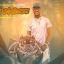 @thepawdcastofficial