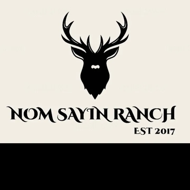 nomsayinranch
