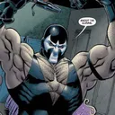 @zaanie.fit