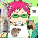 @ratinbasment