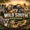 wildsouthx