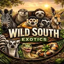 @wildsouthx