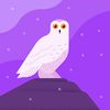 arkan_ran