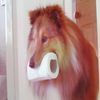 ruffcollie