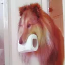 @ruffcollie