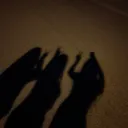 @alyssadagoat3