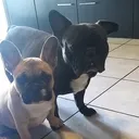 @birillo.marina.chloe