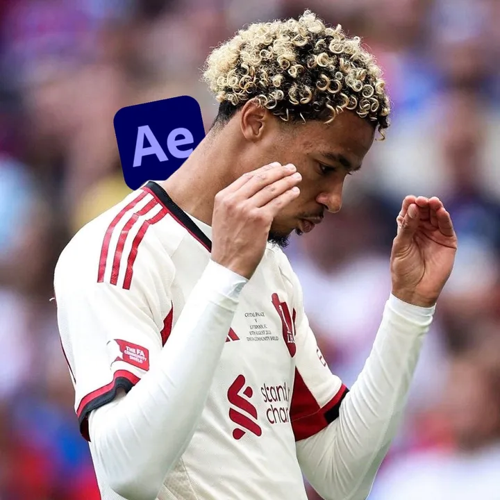 tefo.lfc2