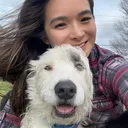@whitneysdogs