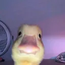@world.unwinds
