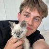 cute.cat4760