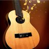 galeria.da.musica