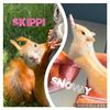 iloveskippi