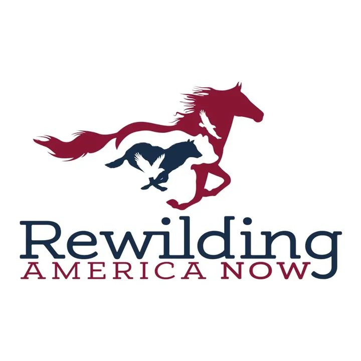 rewildingamerican