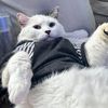 kat.babie56
