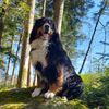 berner.bruno