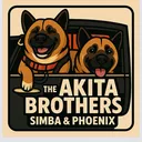 @akitabrothers