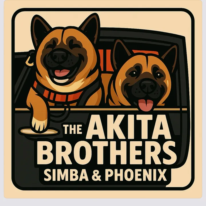 @akitabrothers