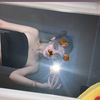 motylek_113