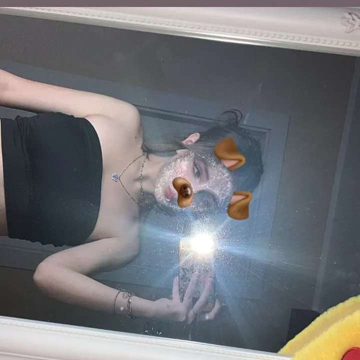 motylek_113