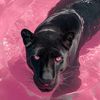 itsdarksky0
