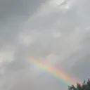 @harperflys