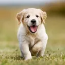 @funny_za2