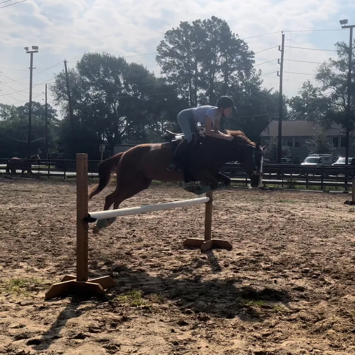 texancowgirl