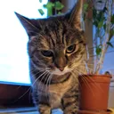 @was_gucksten_so