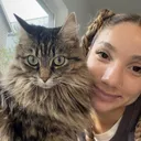 @catladysadie