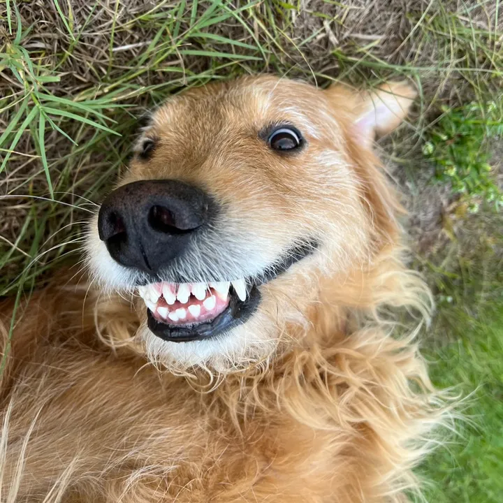 @leo_thedoodle5