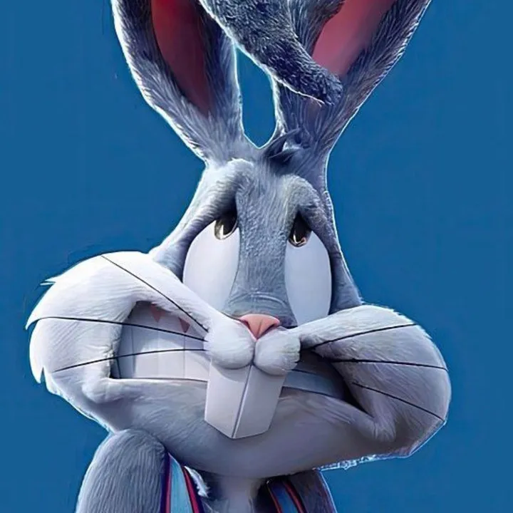 funny8bunny2