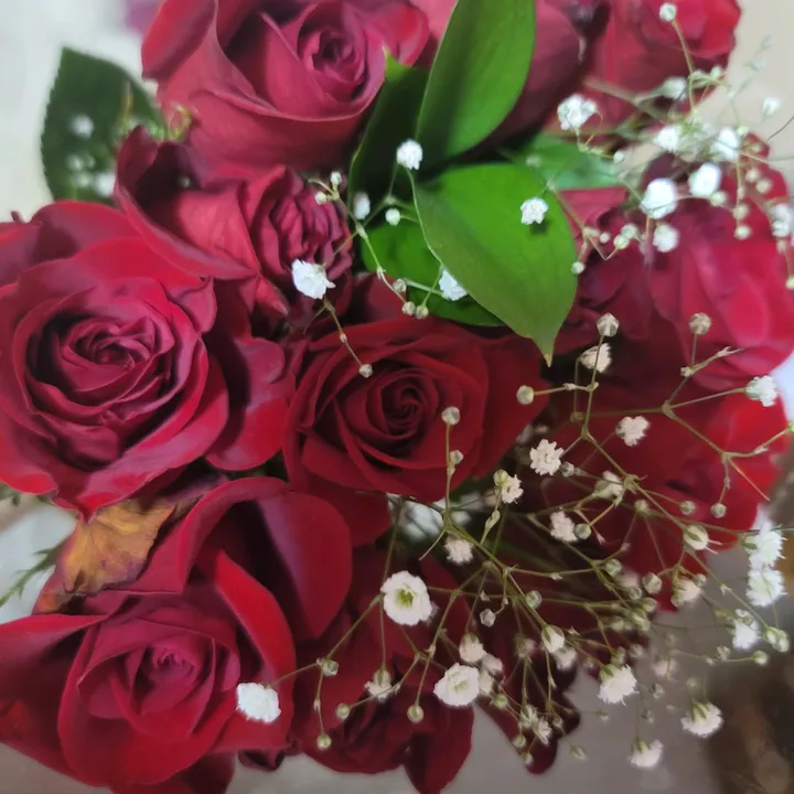 nour_hama_
