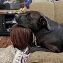 @pretty.poison.4.4.4