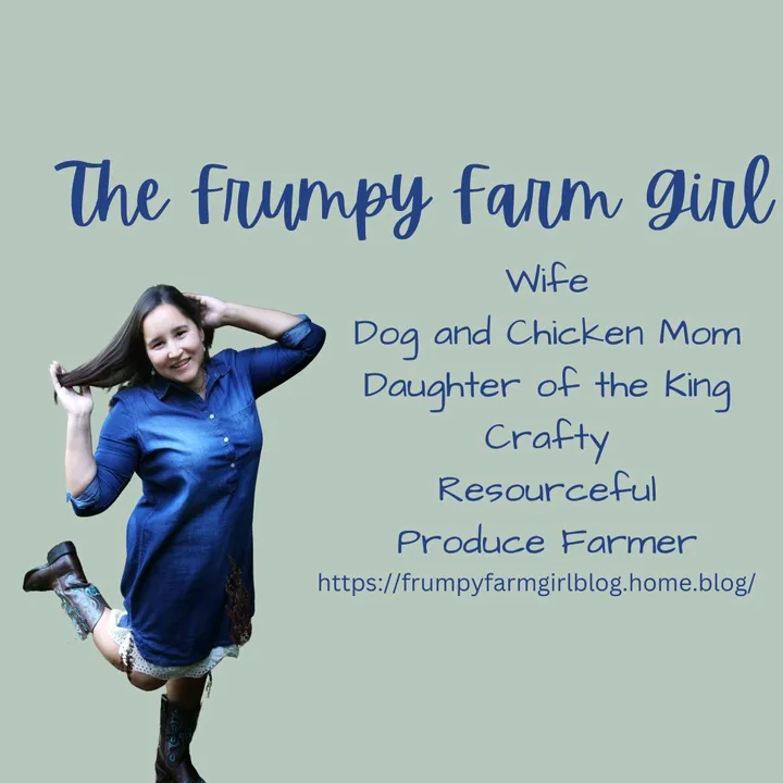frumpyfarmgirl