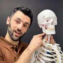 @drjoedamiani