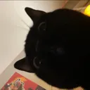 @ewiz298