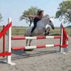 show.jumper_speedy