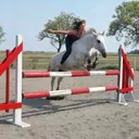 @show.jumper_speedy