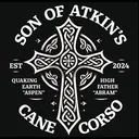 @sonofatkinscanecorso