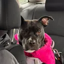 @nyla.dastaffy