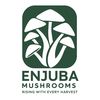 enjuba.mushrooms