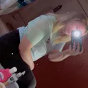 @allycat557