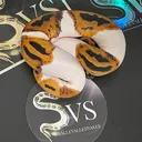 @sallevallesnakes