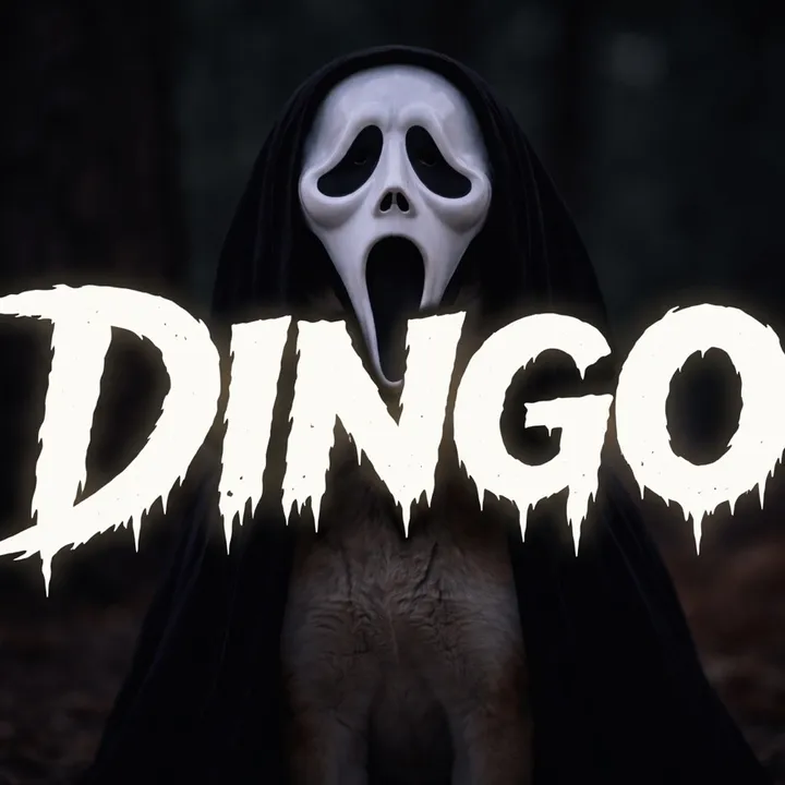 dingoo94