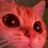 mimisusuuu